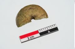 Foto von Beinperle (NHMW-PRAE-023991)